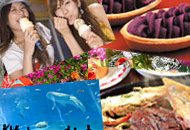 JAL�ōs���I����ό����i�X�y�V�����I