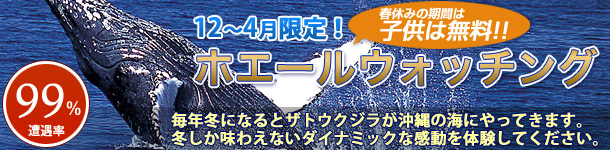1�`3�����艫��z�G�[���E�H�b�`���O