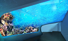 DMMかりゆし水族館 海のトンネル