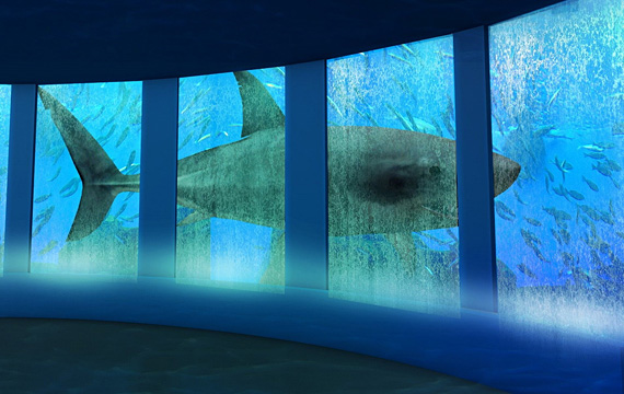 DMMかりゆし水族館 海中トンネル